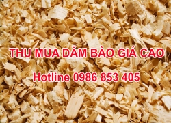 thu-mua-dam-bao-mun-cua-gia-cao