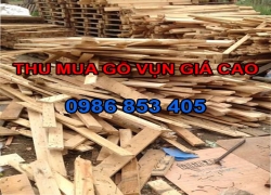 thu-mua-go-vun-gia-cao-tai-binh-duong