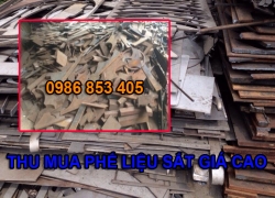 thu-mua-phe-lieu-sat-tai-di-an