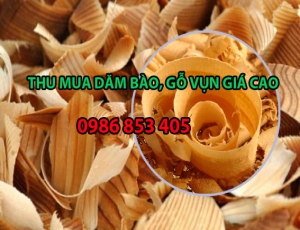 thu-mua-dam-bao-tai-binh-duong