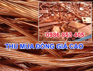 thu-mua-dong-gia-cao-tai-binh-duong