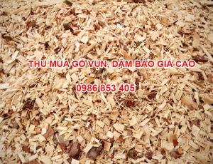 thu-mua-go-vun-dam-bao-tai-binh-duong