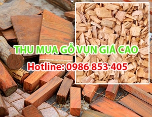 thu-mua-go-vun-gia-cao-tai-binh-duong