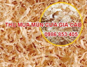 thu-mua-dam-bao-gia-cao