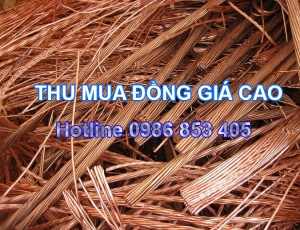 thu-mua-dong-phe-lieu-gia-cao