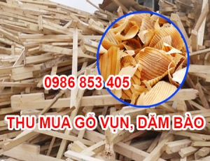 thu-mua-go-vun-gia-cao-tai-thu-duc